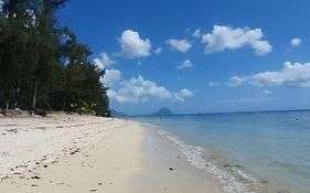 Coconut Bay Apartments
